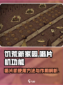 饥荒新家园唱片机有什么用介绍