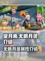 望月斋无格月灵有什么介绍