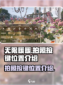 无限暖暖📷：拍照按键位置大揭秘！