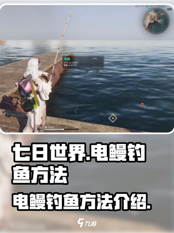 七日世界电鳗用什么鱼饵介绍截图1