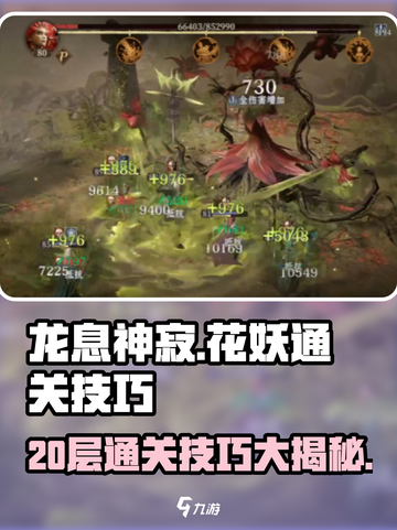 龙息神寂花妖20层通关小窍门介绍截图1