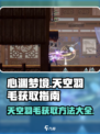 心渊梦境天空羽毛怎么获得介绍