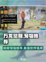 万龙觉醒前期宠物推荐介绍