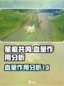原神✨：星痕共鸣血量作用大揭秘！
