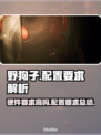 《野狗子》硬件要求高吗？配置低照样玩🔥