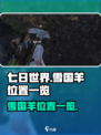 七日世界雪国羊在哪介绍