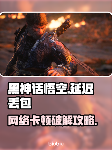 🎮《黑神话悟空》延迟丢包？一招解决！截图1