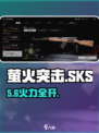 萤火突击SKS🔥实战神装！