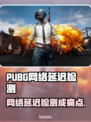 🔥PUBG玩家崩溃！网络延迟检测太频繁🎮