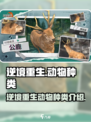 逆境重生动物有哪些介绍