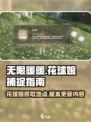 无限暖暖花球娘怎么抓介绍