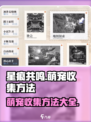 星痕共鸣萌宠收集方法介绍