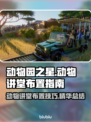动物园之星🌟动物讲堂布置全攻略🎉