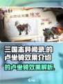 三国志异闻录🔥的卢坐骑超强效果解析🐎