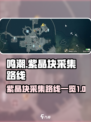 鸣潮🔥紫晶块采集路线大曝光！💎快收藏