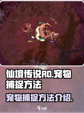 仙境传说RO新启航宠物怎么捕捉介绍截图1