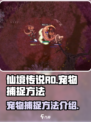 仙境传说RO新启航宠物怎么捕捉介绍
