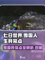 七日世界雪国人生异常点介绍介绍