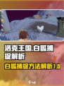 洛克王国手游白狐怎么抓介绍