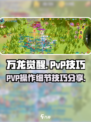 万龙觉醒pvp怎么玩介绍