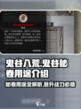 鬼谷八荒鬼谷秘卷有什么用介绍