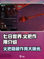 七日世界火把有什么用介绍