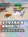宝可梦大集结暴噬龟技能介绍介绍