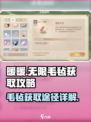 无限暖暖🔥游戏盛宴毛毡获取全攻略！✨