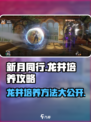 新月同行龙井培养方法分享介绍