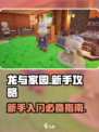 龙与家园攻略大全介绍