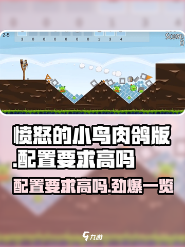 愤怒的小鸟肉鸽版💥配置要求高得离谱？玩前必看！🔥截图1