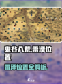 鬼谷八荒雷泽在哪里介绍