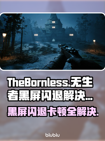 《TheBornless》黑屏闪退？无生者延迟丢包解决办法💥🔥截图1