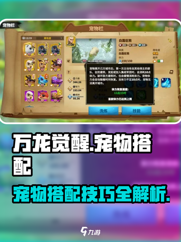 万龙觉醒🔥宠物最强搭配攻略来啦！截图1