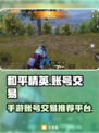和平精英账号交易🔥吃鸡手游平台推荐💥
