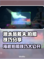 潜水员戴夫拍照攻略✨游戏党必看！📸