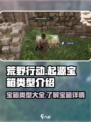 荒野起源宝箱有哪些介绍