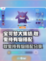 宝可梦大集结耿鬼持有物选什么介绍