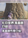 七日世界龙血树介绍介绍