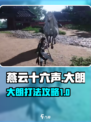燕云十六声大朗怎么样介绍