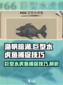 渔帆暗涌巨型水虎鱼如何捕捉介绍