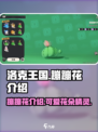 洛克王国手游蹦蹦花是什么介绍