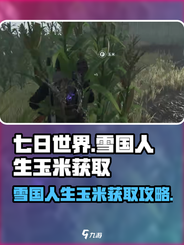 七日世界雪国人生玉米如何获取介绍截图1