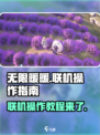 无限暖暖可以联机吗介绍