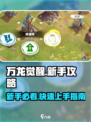 万龙觉醒🔥新手必看！快速上手秘籍🎉