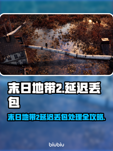 《末日地带2》低延迟秘籍！🚀丢包？看这篇就够了🔥截图1