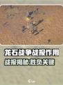 【龙石战争】战报大揭秘！🔥胜负关键竟藏在这？💥