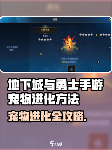 🔥DNF手游宠物进化全攻略！✨截图1