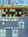 🔥植物大战僵尸57关神操作💥