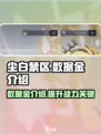 尘白禁区🔥数据金大揭秘！玩家必看⚡